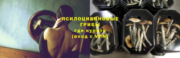 прущая мука Армянск